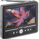 Illustration for article titled Best Buys Insignia Releases First Handheld HDTV...Sorta
